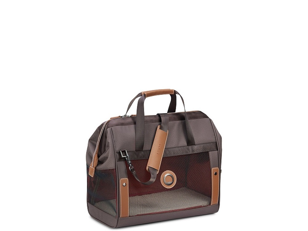 мерч для животных