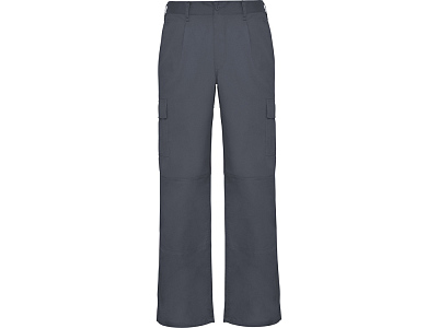 Брюки Daily, мужские (Свинцовый)