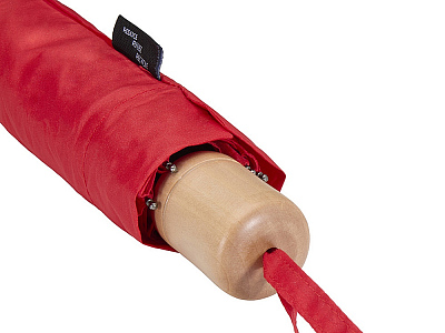 Зонт складной Дейн