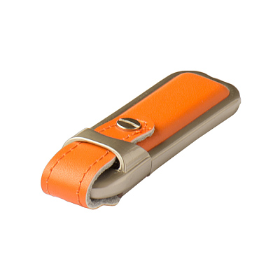 Кожа 10 Милитари, синий, 4Гб, переходник мини-универсальный