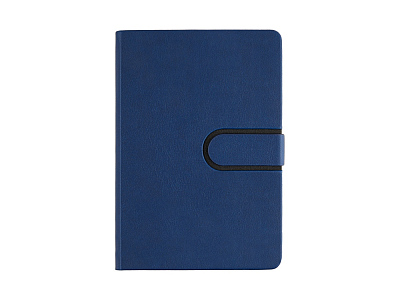 Ежедневник недатированный А5 Status