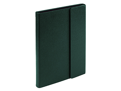 Ежедневник недатированный с магнитным клапаном А5 Venezia (Зеленый)