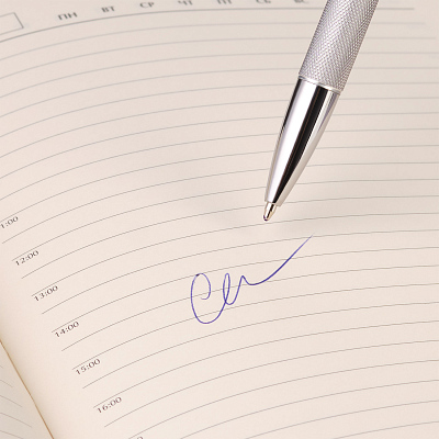 Шариковая ручка Леви (Levi), серая