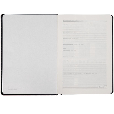 Ежедневник Alanis, недатированный, черный с фиолетовым