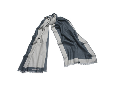 Длинный шарф Bird (Голубой)