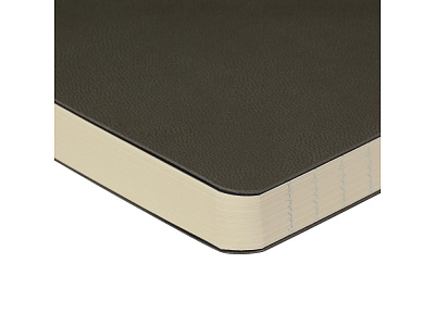 Ежедневник недатированный B5 Megapolis Flex