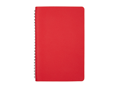 Ежедневник недатированный А5 Alba