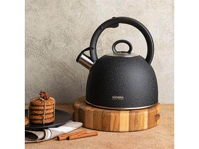 Чайник со свистком ANESA, 2,9 л