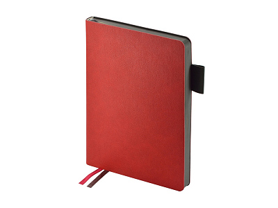 Ежедневник А5 датированный Boston на 2026 год (Красный/серый)