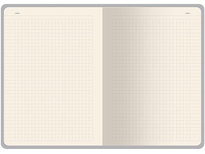 Бизнес тетрадь А5 Pragmatic