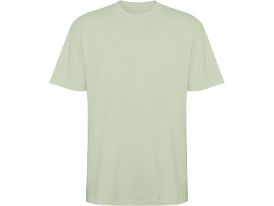 Футболка оверсайз Bull, унисекс (Припыленный зеленый)