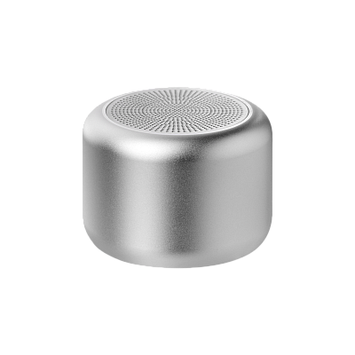 Беспроводная колонка Пэшн (Passion) 80dB 600 mAh (Bluetooth 5.4), серебряная (Серебряный)