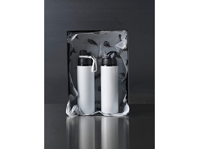 Бутылка спортивная Fitz