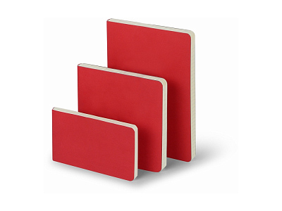 Ежедневник недатированный А5 Megapolis Velvet Flex