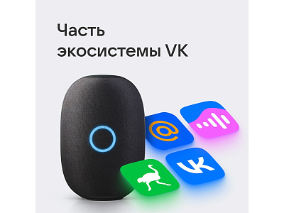 Умная колонка VK Капсула с голосовым помощником Марусей, 30 Вт