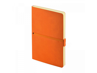 Ежедневник недатированный А5 Tokyo (Оранжевый)