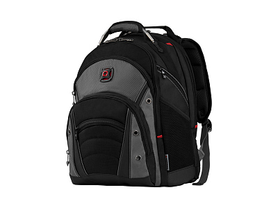 Рюкзак Synergy с отделением для ноутбука 16 (Черный/серый)