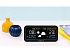 Метеостанция BoxCast 1 WTS - Фото 4