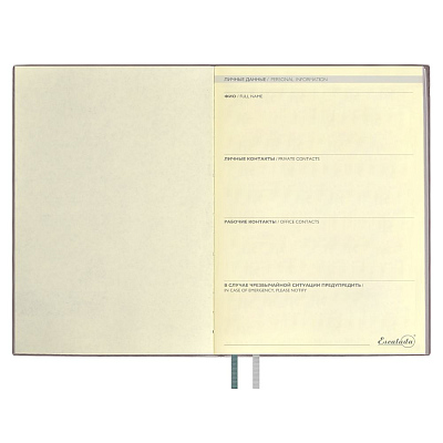 Ежедневник Avila, недатированный, серый