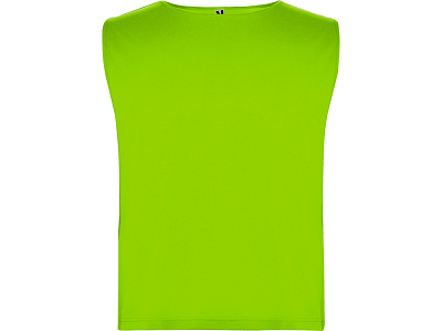 Спортивная безрукавка Ajax, унисекс (Неоновый зеленый)