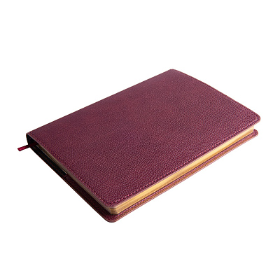 Ежедневник недатированный портфолио Mark,формат А5, в линейку (Бордовый)