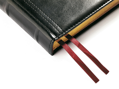 Ежедневник полудатированный А5 Boss