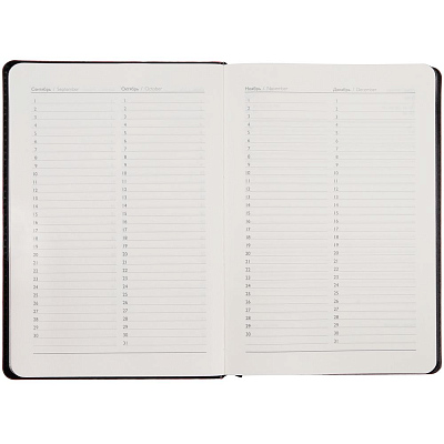 Ежедневник Alanis, недатированный, черный с синим