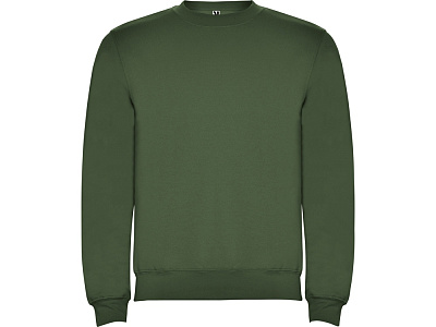 Свитшот с начесом Clasica унисекс (Хаки)