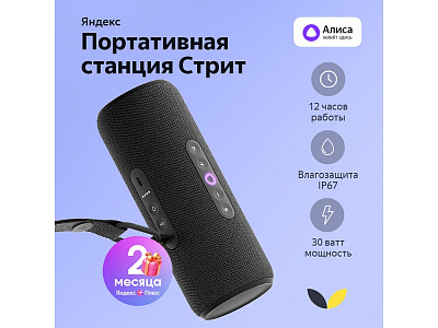 Умная колонка ЯНДЕКС Станция Стрит с Алисой (Чёрный)