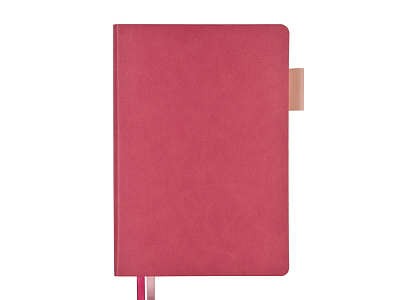 Ежедневник А5 датированный Boston на 2027 год