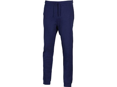 Брюки Motion с начесом мужские (Темно-синий)