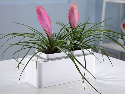 Компактный смарт-сад iGarden