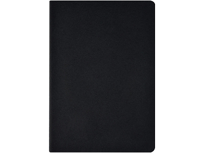 Бизнес-тетрадь А4 Pragmatic