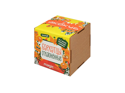 Набор для выращивания Бархатцы (Желтый)