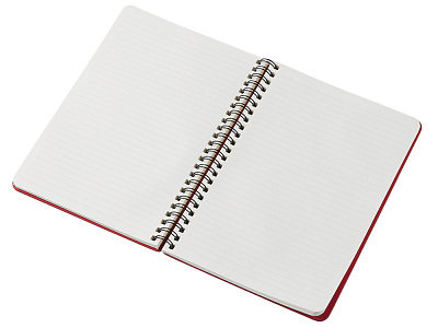 Блокнот А5 Дантэ