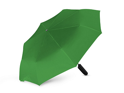 Складной зонт Алькира (Папоротниковый)