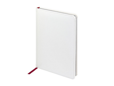 Ежедневник недатированный А5 Sidney Nebraska с серебряным срезом (Белый)