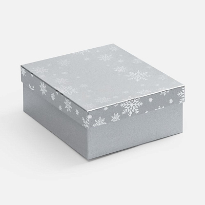 Коробка Wintry, серебристая (Серебристый)