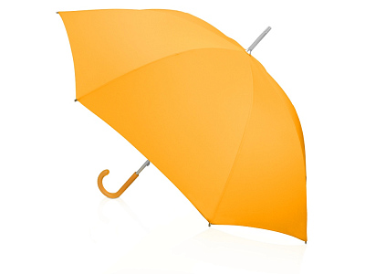 Зонт-трость Коди