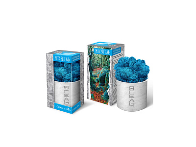 Мох Ягель натуральный