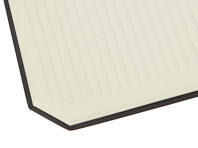 Блокнот А5 с магнитным клапаном в гибкой обложке Chaplin