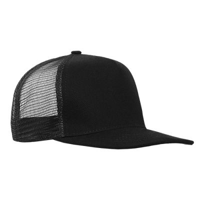 Бейсболка прямой козырёк STAN 5 клиньев хлопок 330, 09 (Чёрный)