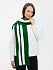 Шарф Winwear, темно-зеленый (глубокий зеленый) - Фото 6