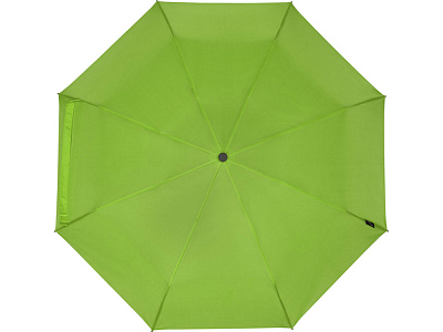 Зонт складной Birgit