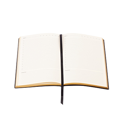 Ежедневник недатированный "Аскона", А5, черный с золотом