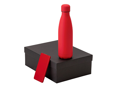 Подарочный набор COLOR IT с термобутылкой и повербанком (Красный)