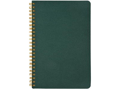 Бизнес тетрадь А5 Pragmatic