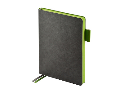 Ежедневник А5 датированный Boston на 2026 год (Серый/салатовый)