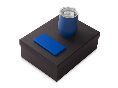 Подарочный набор COLOR IT с термокружкой и повербанком (Синий)