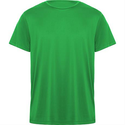 Спортивная футболка DAYTONA унисекс, ПАПАРОТНИКОВЫЙ 3XL (Папаротниковый)